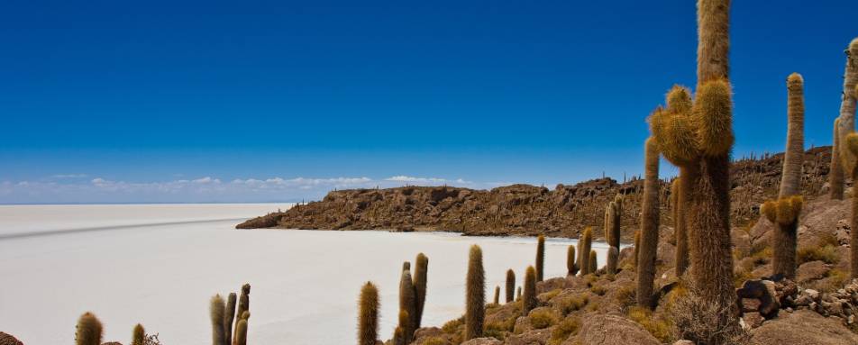 Cacti islands on Salar de Uyuni - Atacama to Lake Titicaca