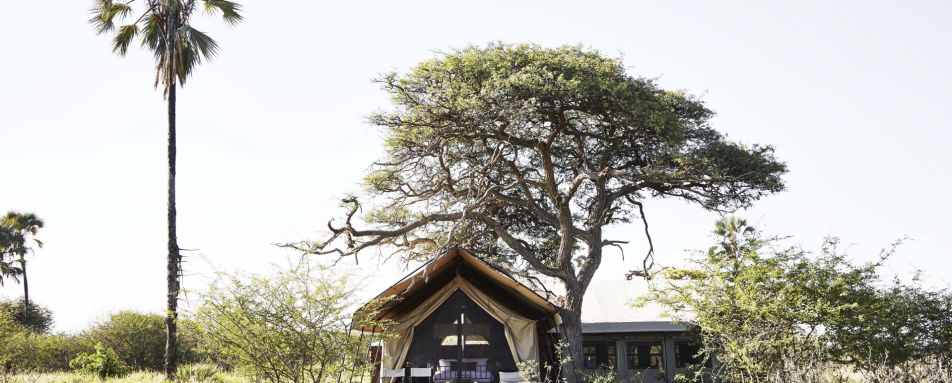 Family Tent - Camp Kalahari