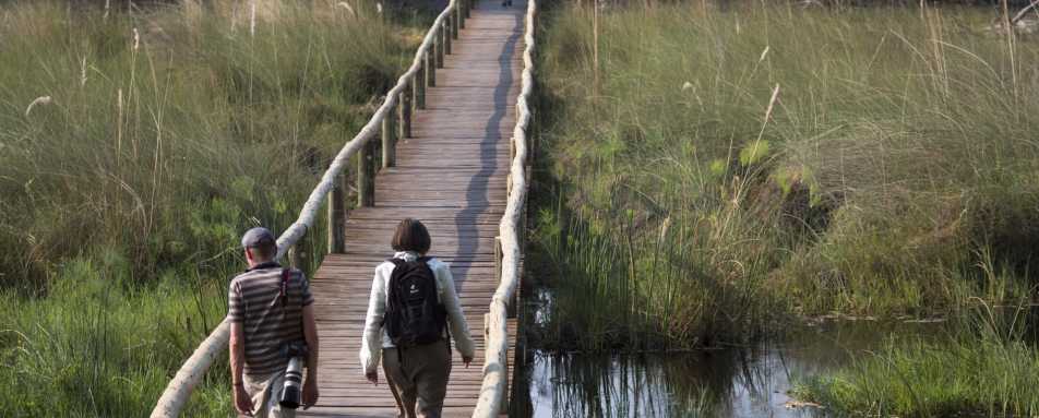 Bridge walkway into camp 