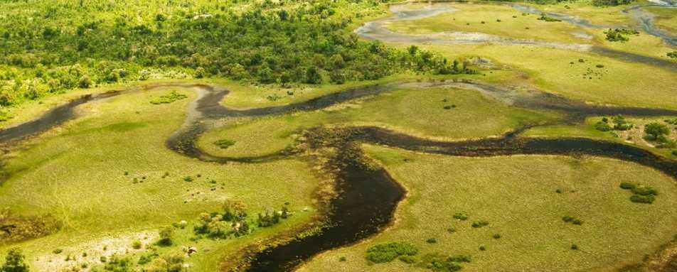 Waterways - Duba Plains