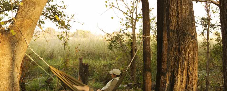 Footsteps Across the Delta 