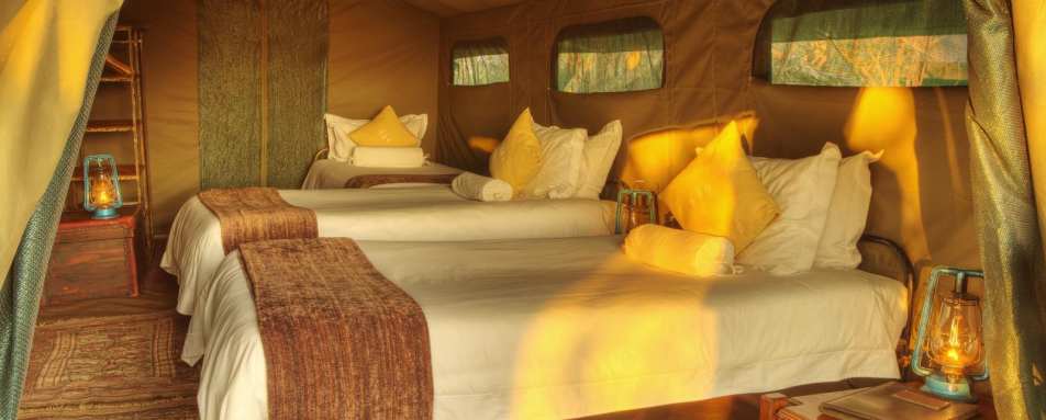 Family tent - Footsteps