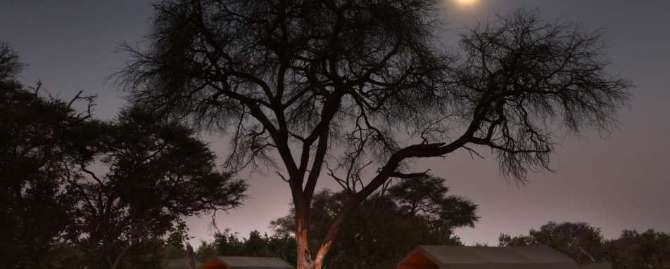 Full Moon - Chobe National Park