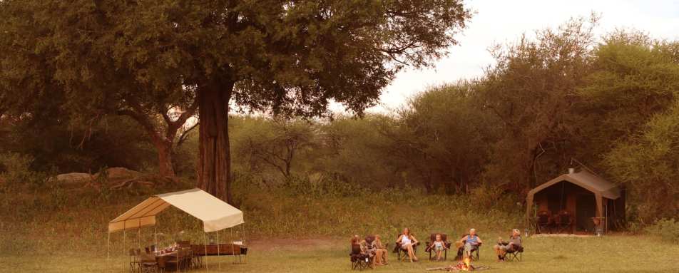 Relaxing in scene - Letaka Safaris