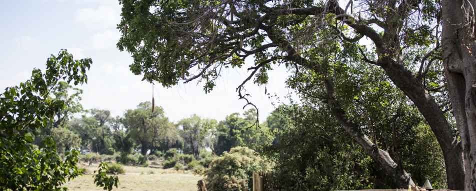 View over the Delta - Little Mombo