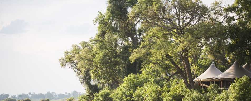 Exterior of tent - Little Mombo