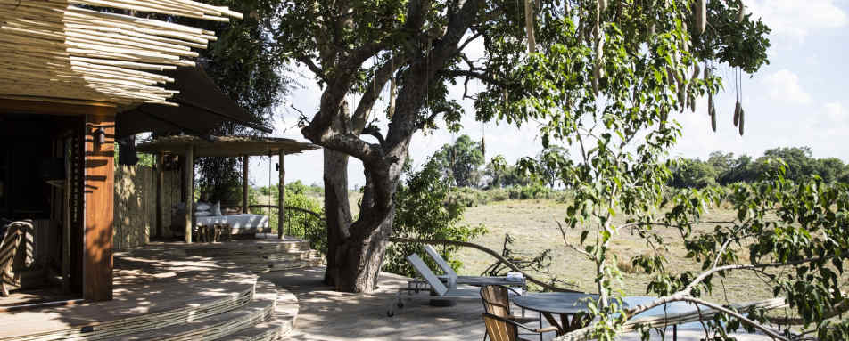 Sausage tree in main area - Little Mombo