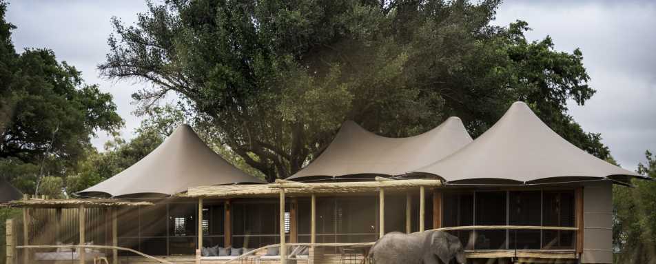Exterior of tent with elephant - Little Mombo