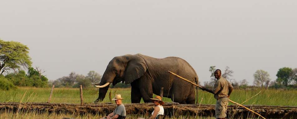 Mokoro - Macatoo Camp