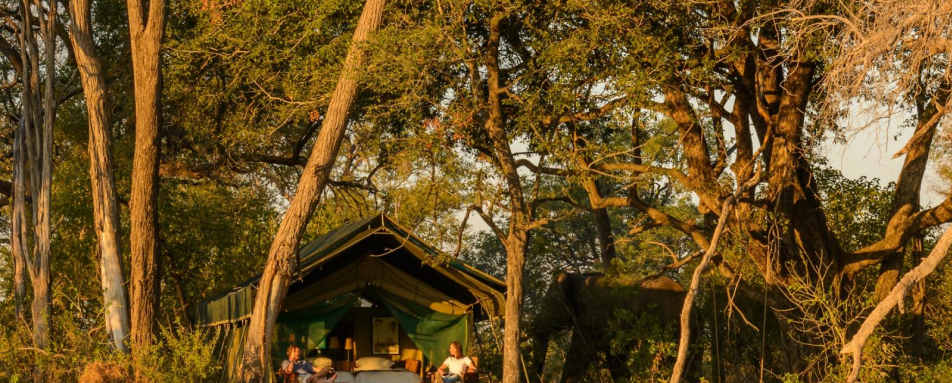 Tent tucked into the trees - Macatoo Camp