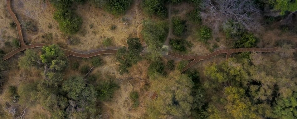 Aerial of paths  