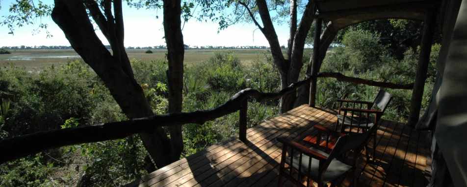 The view from a tented room - Tubu Tree Camp