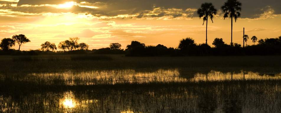 Sunset - Tubu Tree Camp