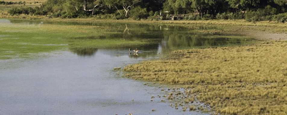 Floodplain - Tubu Tree Camp