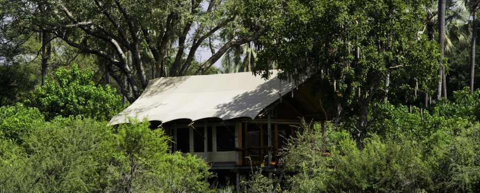 Tubu Tree Camp