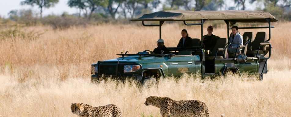 A game drive - Zarafa