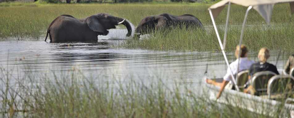 Boat safari in the Okavango