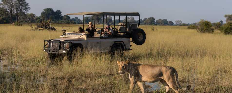 Game Drives in Botswana