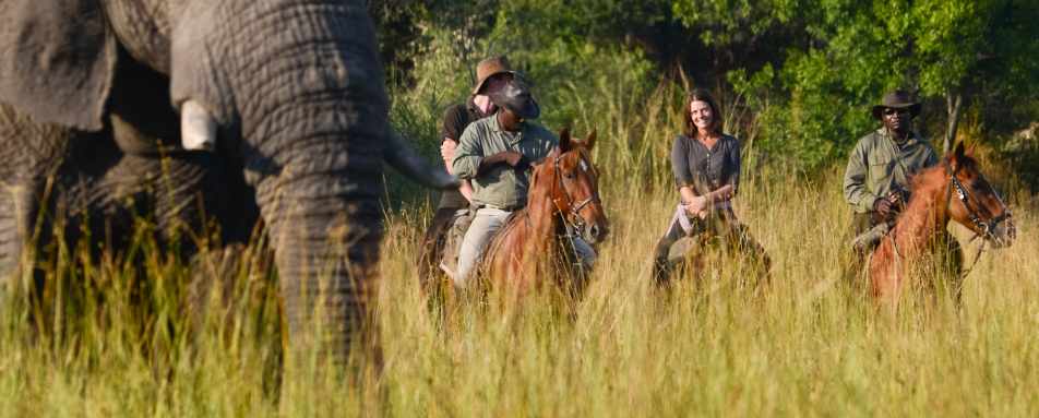 Riding with elephants - Wild Botswana Riding Safari
