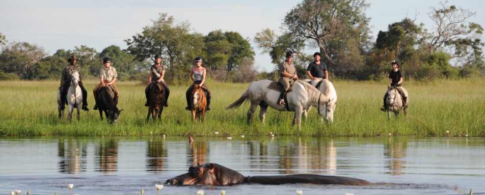Watching a hippo - Wild Botswana Riding Safari