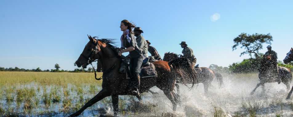 Galloping through the Delta - Wild Botswana Riding Safari