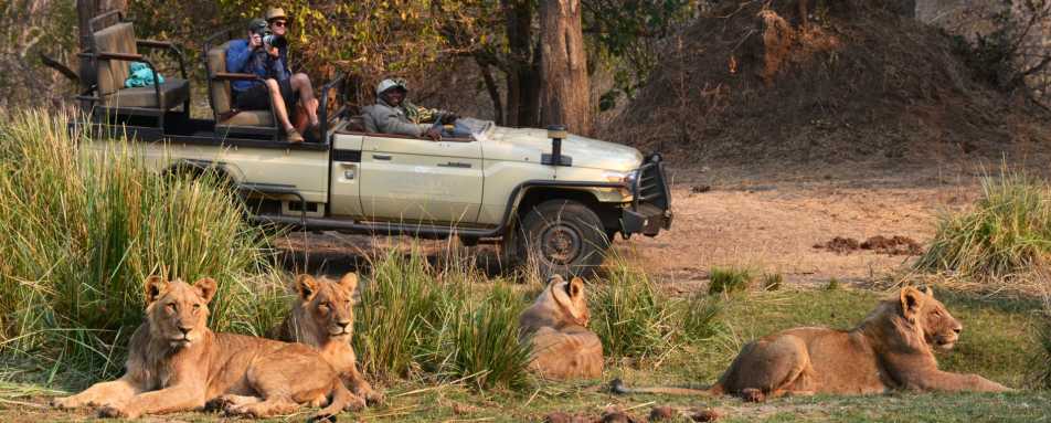 Game drive in Lower Zambezi