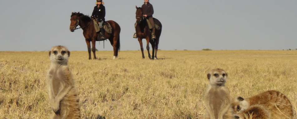 Riding in the Makgadikgadi pans - The Delta and Salt Pans