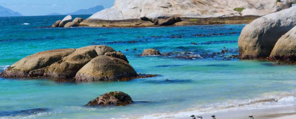 Penguins at Boulder's Beach - Southern Africa Uncovered