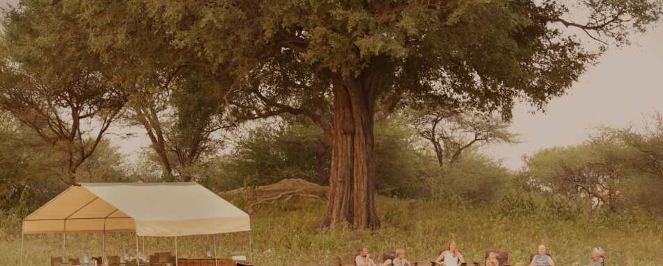 Camp Mess - Wild Botswana 