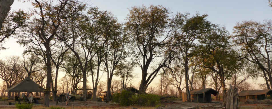Camp set-up - Wild Botswana 