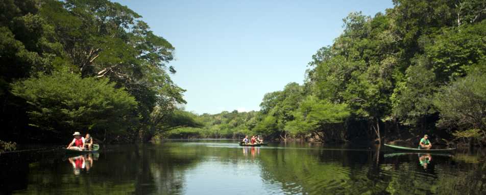 Canoeing - Anavilhanas Jungle Lodge