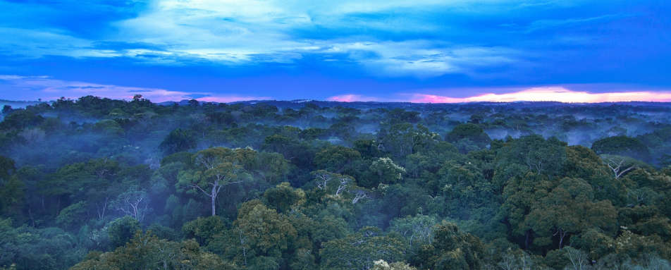 Jungle canopy - Cristalino Jungle Lodge