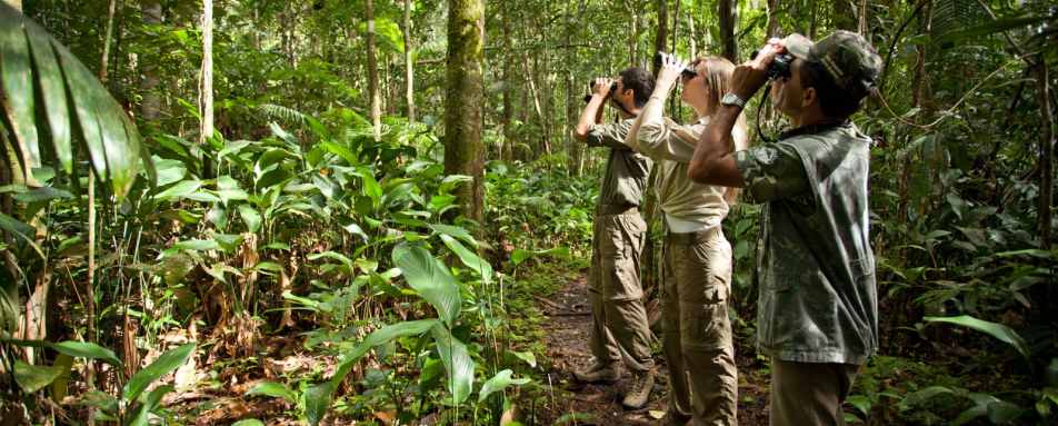 Wildlife watching - Cristalino Jungle Lodge