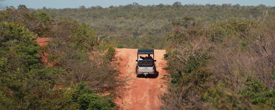 Jeep safaris 