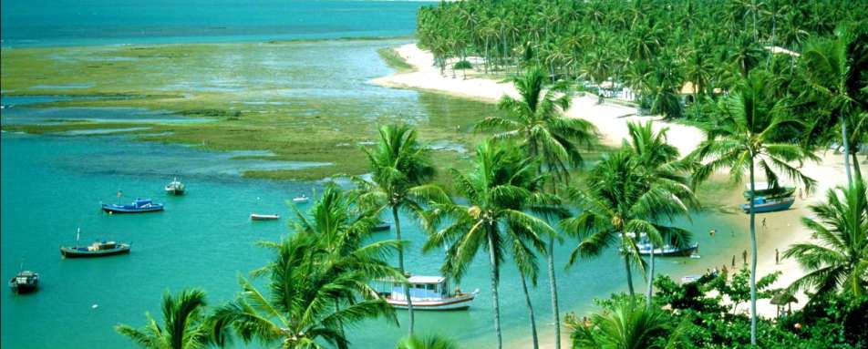 Beach View - Praia do Forte Eco Resort & Thalasso Spa