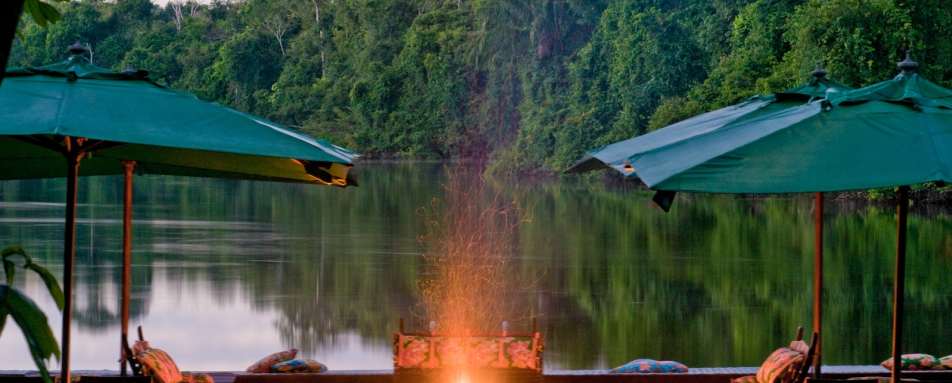 Wild Brazil Amazon  Pantanal Adventure 