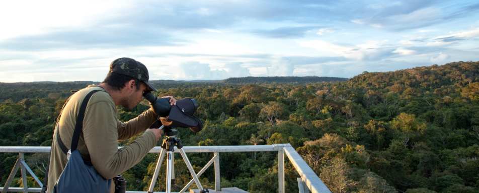 Wild Brazil Amazon  Pantanal Adventure 