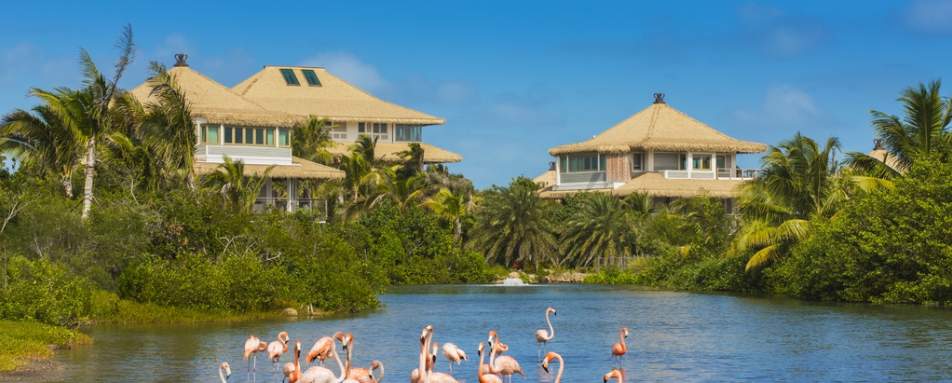 Branson Estate Flamingo Pond 