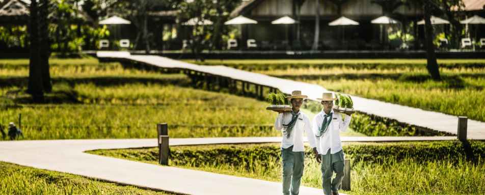 Grounds - Phum Baitang