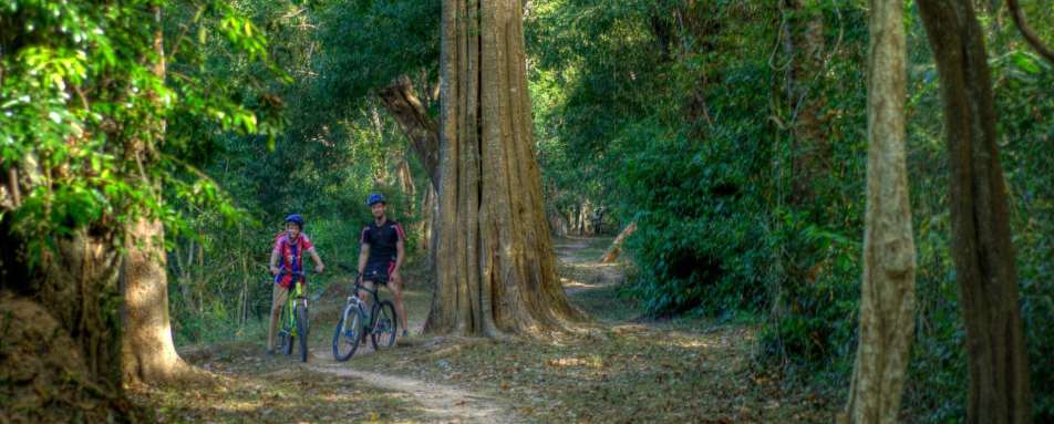 Cycling to Ta Prohm and Angkor