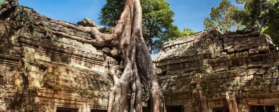 Ta Phrom - Luxury Cambodia