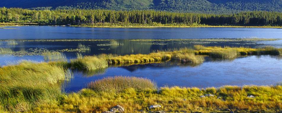 Grasslands at Echo Valley Ranch & Spa