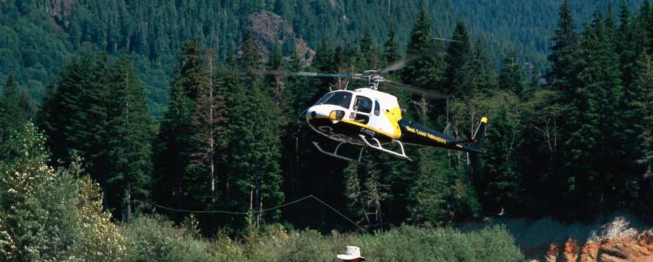 Fly Fishing - Sonora Resort