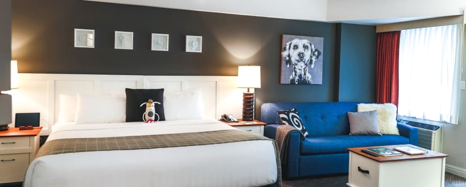 Executive Studio - Summit Lodge