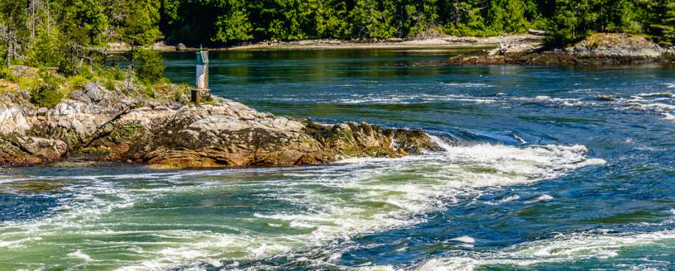 Landscape  - West Coast Wilderness Lodge