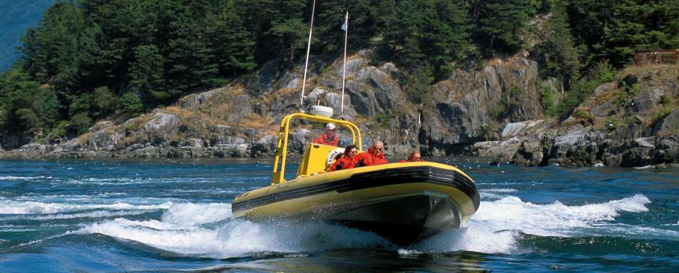 Guided 1 hour Zodiac Nature Tour