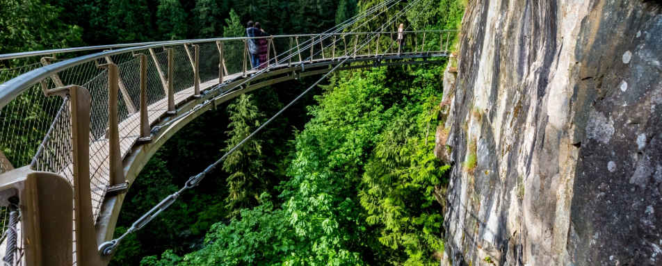Capliano Suspension Bridge - British Columbia with 