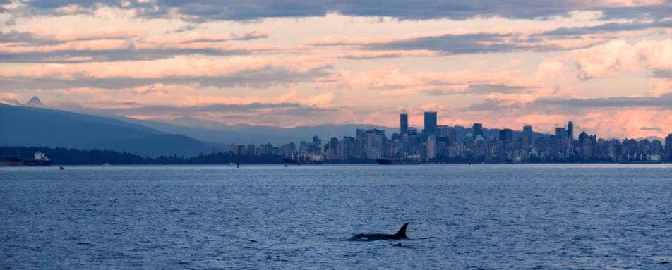 Vancouver - British Columbia with Kids 