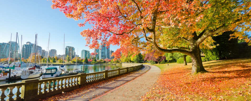 Stanley Park Vancouver - Pacific Coast & Canada by Rocky Mountaineer