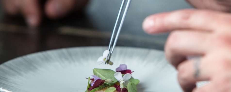 Fine Dining - Gourmet Ontario and Quebec 